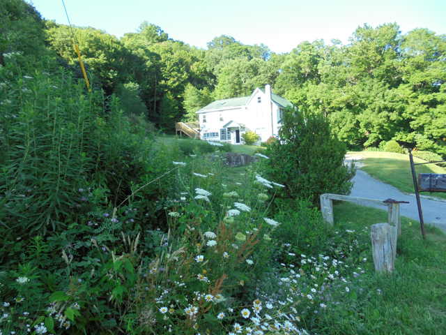 Summer at The Old Greer House